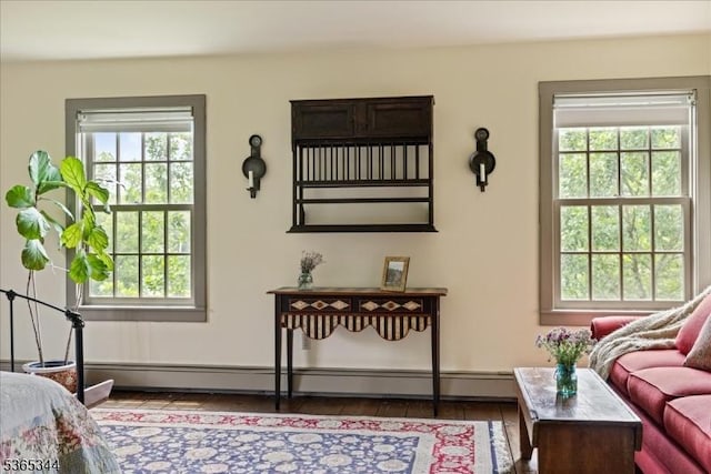 153 Lambertville Hq Rd, Delaware Twp, NJ 08559 - living room featuring plenty of natural light, a baseboard radiator, and wood finished floors