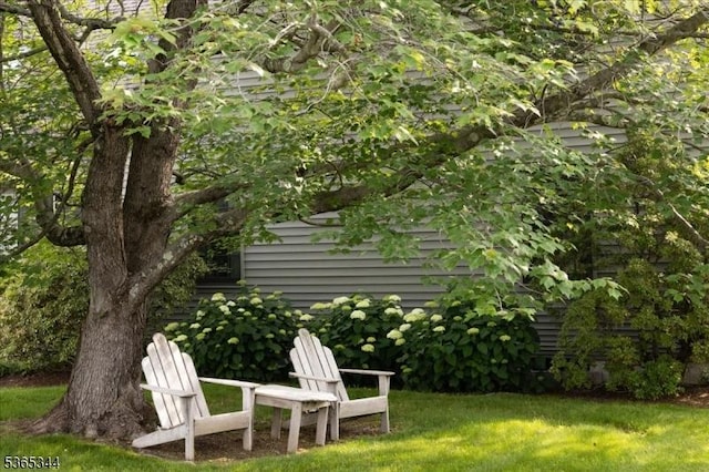 153 Lambertville Hq Rd, Delaware Twp, NJ 08559 - view of green lawn