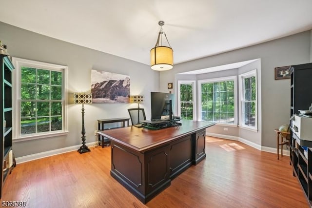 4 Knollwood Ter, Chester Twp, NJ 07930 - office space with baseboards and light wood-style flooring