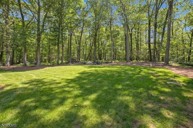4 Knollwood Ter, Chester Twp, NJ 07930 - view of grassy yard with a view of trees