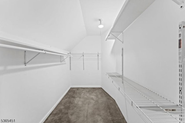 587 Jesse Pl, Union Twp, NJ 07083 - spacious closet featuring carpet floors and lofted ceiling