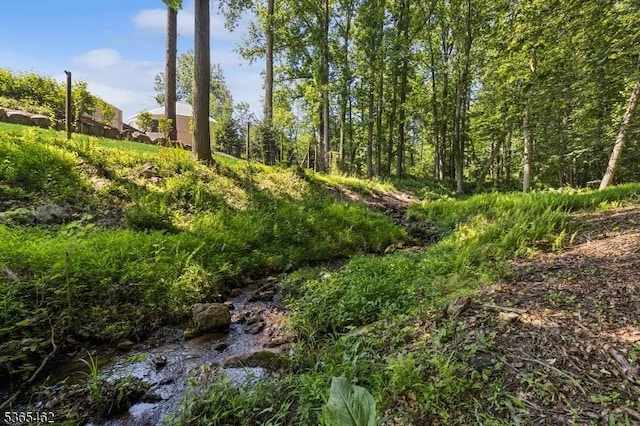 119 Mosle Rd, Mendham Twp, NJ 07945 - view of local wilderness
