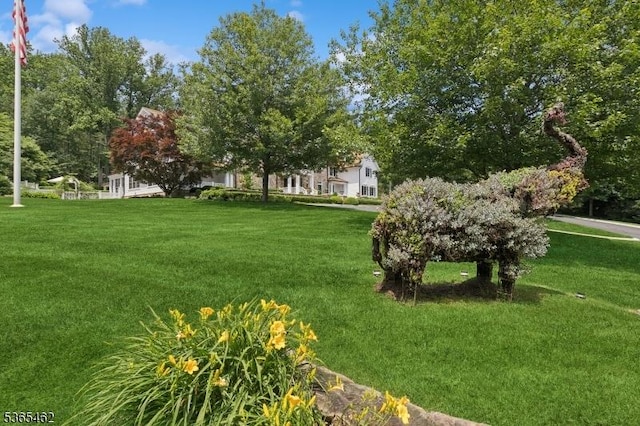 119 Mosle Rd, Mendham Twp, NJ 07945 - view of green lawn