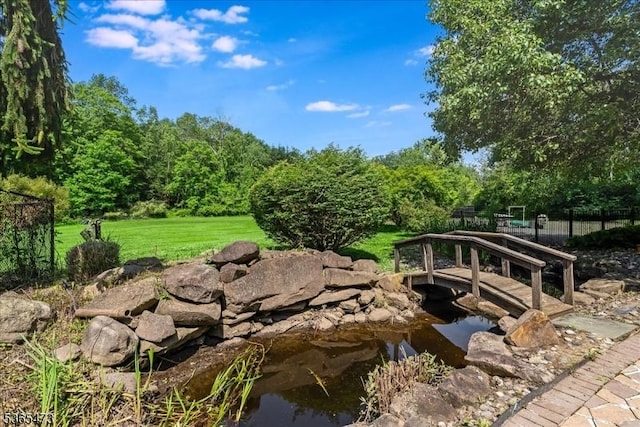 162 N Maple Ave, Bernards Twp, NJ 07920 - view of community featuring a garden pond
