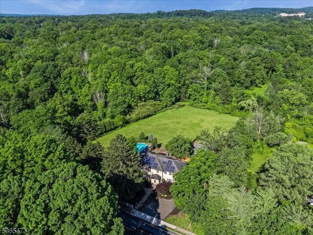 162 N Maple Ave, Bernards Twp, NJ 07920 - view of property location featuring a heavily wooded area