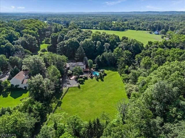 162 N Maple Ave, Bernards Twp, NJ 07920 - view of subject property with a forest