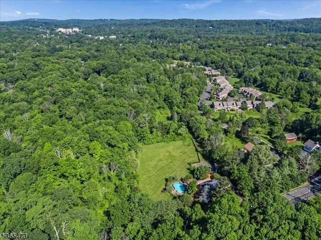 162 N Maple Ave, Bernards Twp, NJ 07920 - aerial view of property's location featuring a heavily wooded area