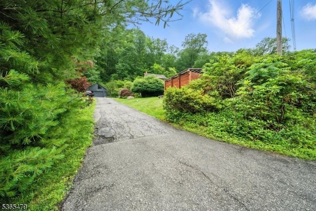 182 Musconetcong River Rd, Lebanon Twp, NJ 07882 - view of asphalt driveway