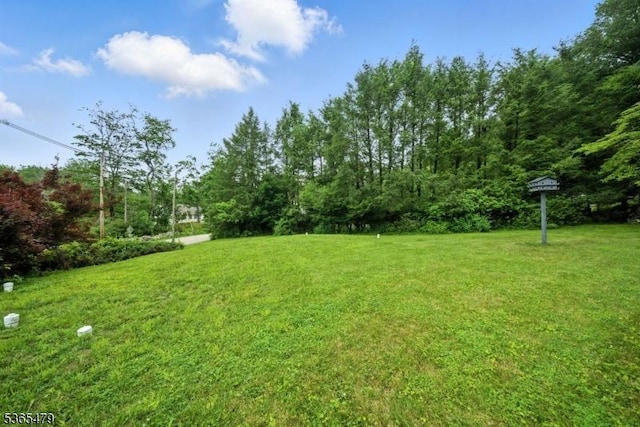 182 Musconetcong River Rd, Lebanon Twp, NJ 07882 - view of green lawn