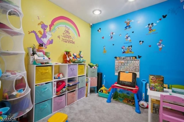 51 Greenbrook Rd, Middlesex Boro, NJ 08846 - rec room with carpet