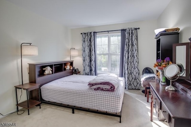1203 Magnolia Ct, Washington Twp, NJ 07840 - view of carpeted bedroom