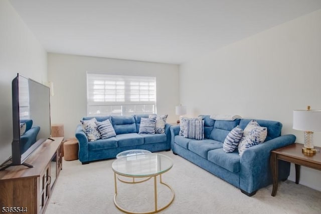 1203 Magnolia Ct, Washington Twp, NJ 07840 - living area featuring carpet floors