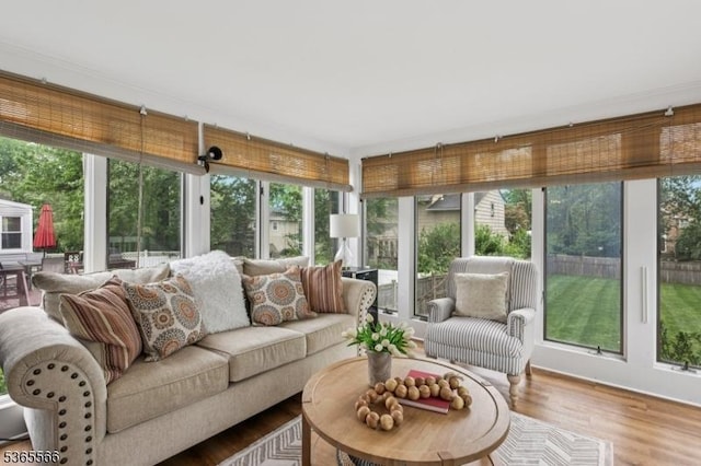 942 Summit Ave, Westfield Town, NJ 07090 - sunroom with plenty of natural light and wood finished floors