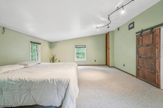 130 Ackerson Rd, Frelinghuysen Twp, NJ 07825 - bedroom featuring carpet floors, a barn door, and rail lighting