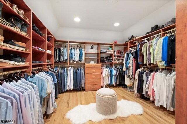 10 Kilmer Dr, Hillsborough Twp, NJ 08844 - spacious closet featuring light wood-style flooring