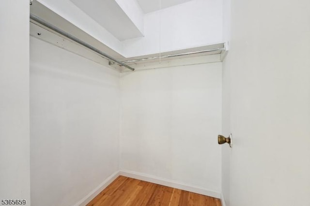 922C Merritt Dr, Hillsborough Twp, NJ 08844 - spacious closet with light wood-style floors