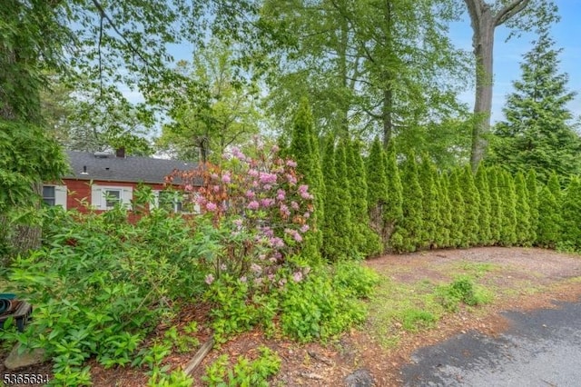 16 Ridgewood Pkwy W, Denville Twp, NJ 07834 - view of yard