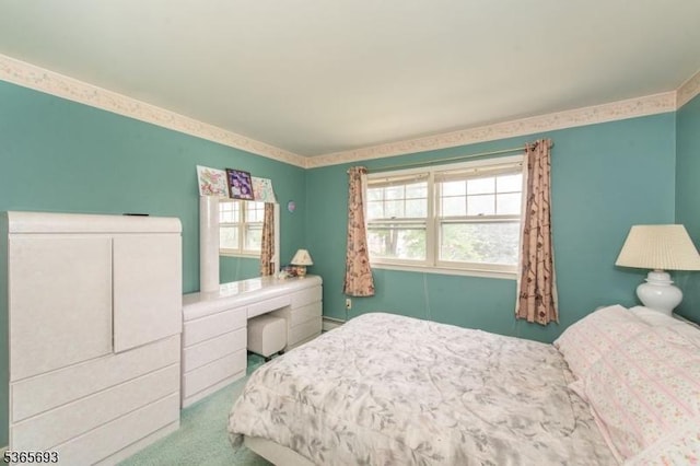 9 Andrea Ter, East Hanover Twp, NJ 07936 - bedroom with carpet flooring and a baseboard radiator