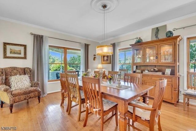 6 White Rd, Raritan Twp, NJ 08822 - dining room with crown molding, healthy amount of natural light, and light wood-style flooring
