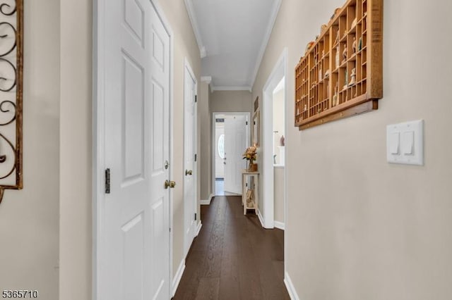 6 White Rd, Raritan Twp, NJ 08822 - hall with ornamental molding and dark wood-type flooring