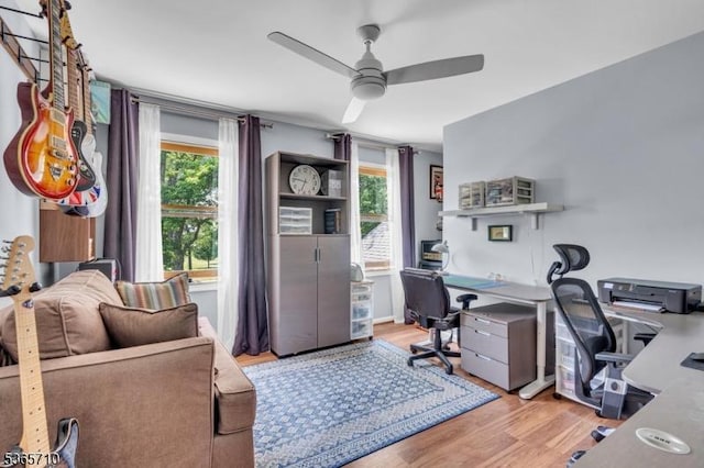 6 White Rd, Raritan Twp, NJ 08822 - office featuring ceiling fan, light wood-type flooring, and healthy amount of natural light