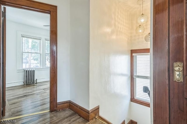 522 Locust Ave, Hillside Twp, NJ 07205 - hall with radiator heating unit and wood finished floors