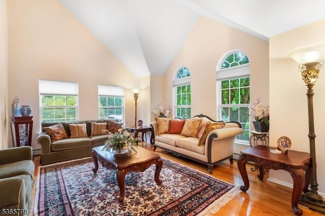 12 Autumn Dr, Mine Hill Twp, NJ 07803 - living area with plenty of natural light, wood finished floors, high vaulted ceiling, and a baseboard radiator