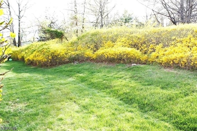 81 Stanwick Ct, Franklin Twp, NJ 08873 - view of grassy yard
