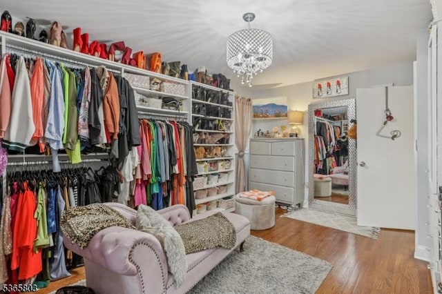 95 Harrison Ave, North Plainfield Boro, NJ 07060 - spacious closet with a chandelier and wood finished floors