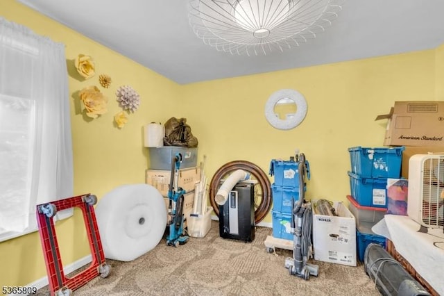 9 Mueller Ln, Franklin Twp, NJ 07882 - view of storage