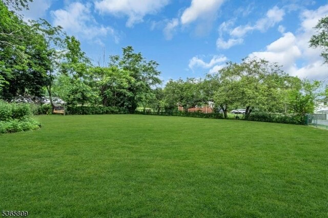 9 Mueller Ln, Franklin Twp, NJ 07882 - view of yard