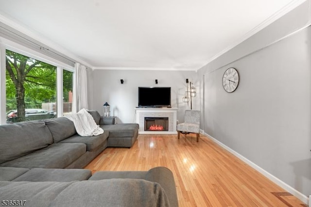 605 E Brookside Ln, Hillsborough Twp, NJ 08844 - living area featuring light wood-type flooring, a lit fireplace, and ornamental molding