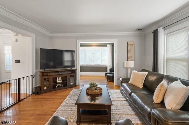 905 Dewitt St, Linden City, NJ 07036 - living room with wood finished floors and crown molding