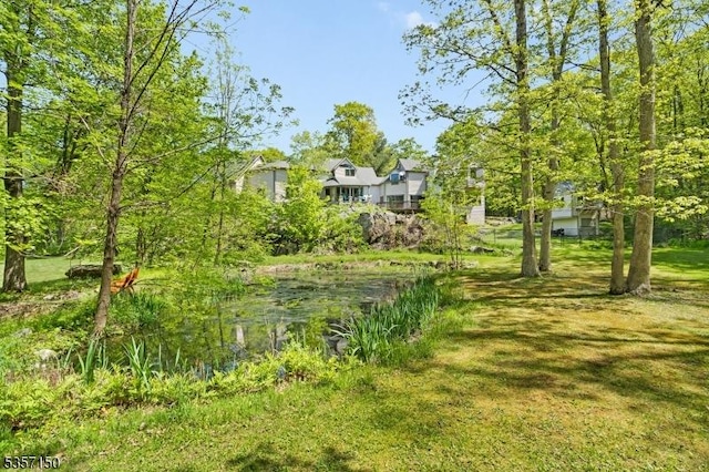 134 Milton Rd, Sparta Twp, NJ 07871 - view of yard
