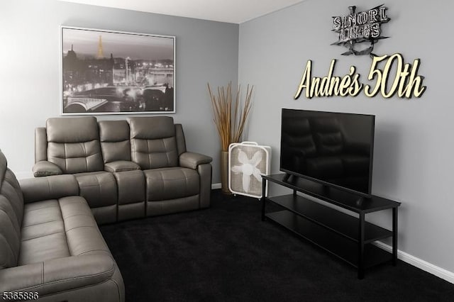 452 W 4th Ave, Roselle Boro, NJ 07203 - living room with carpet flooring