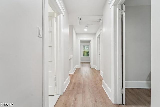 62 Rt46, Mine Hill Twp, NJ 07803 - hall featuring light wood-type flooring