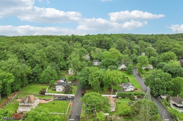 62 Rt46, Mine Hill Twp, NJ 07803 - drone / aerial view of a heavily wooded area