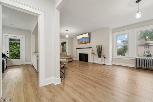62 Rt46, Mine Hill Twp, NJ 07803 - living area featuring radiator, light wood finished floors, a glass covered fireplace, and plenty of natural light