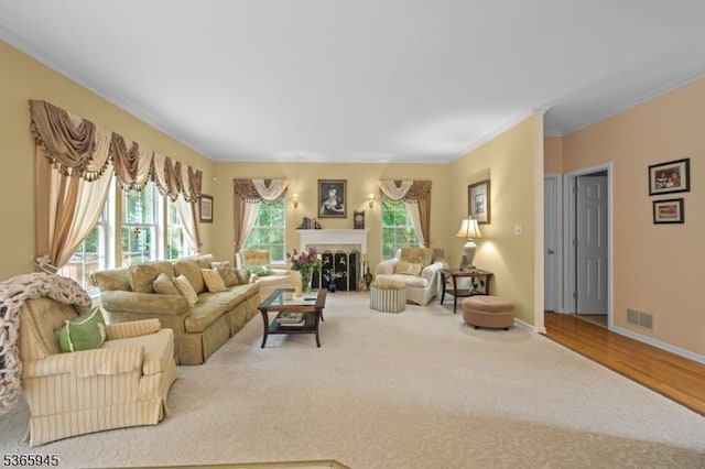 51 Bertran Dr, Bridgewater Twp, NJ 08807 - living room with a fireplace, ornamental molding, and carpet floors