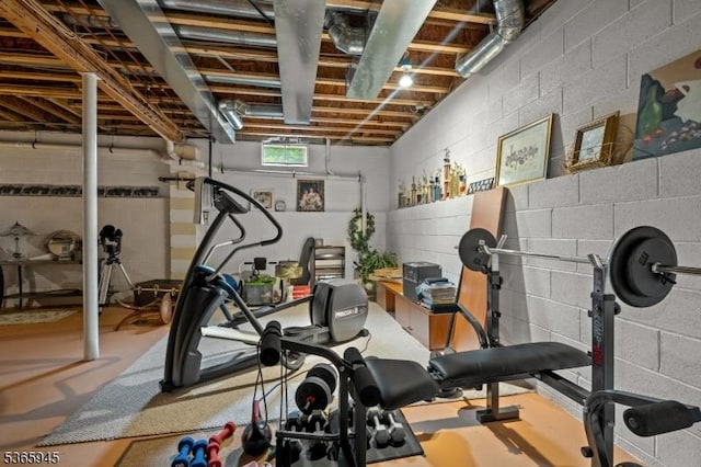 51 Bertran Dr, Bridgewater Twp, NJ 08807 - workout room featuring concrete block wall