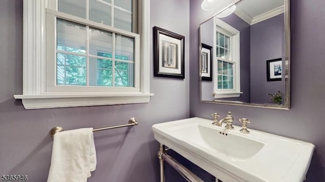 10 Walnut Grove Rd, Hillsborough Twp, NJ 08844 - bathroom with vanity