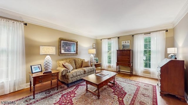 10 Walnut Grove Rd, Hillsborough Twp, NJ 08844 - living area featuring crown molding and wood finished floors
