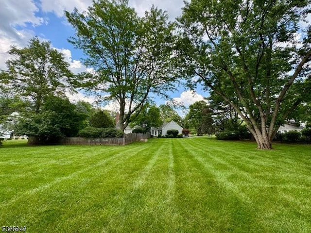 10 Walnut Grove Rd, Hillsborough Twp, NJ 08844 - view of yard