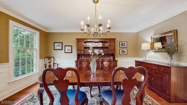 10 Walnut Grove Rd, Hillsborough Twp, NJ 08844 - dining room with a chandelier, light wood finished floors, a wainscoted wall, and ornamental molding