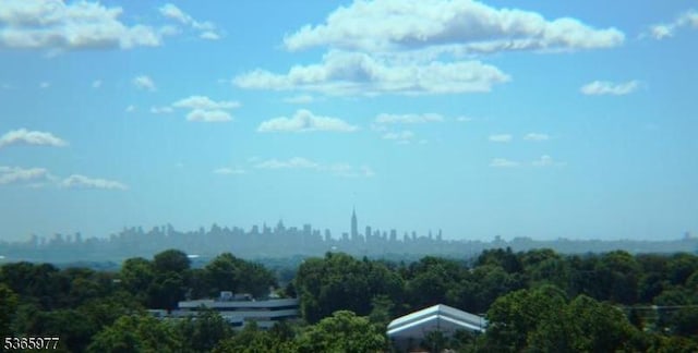 10 Cliff Rd Unit A3, Woodland Park, NJ 07424 - city view featuring a forest