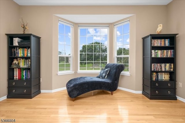 18 Running Brook Cir, Raritan Twp, NJ 08822 - sitting room featuring light wood-style flooring and plenty of natural light