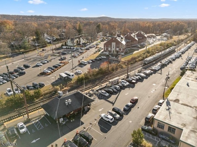 9 Cottage Ct, Berkeley Heights Twp, NJ 07922 - aerial overview of property's location with a heavily wooded area