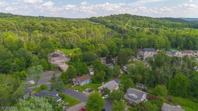 9 Beavers St, High Bridge Boro, NJ 08829 - view of property location featuring a forest
