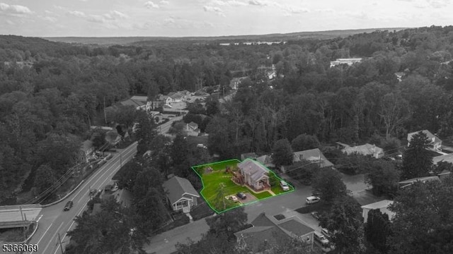 9 Beavers St, High Bridge Boro, NJ 08829 - view of property location with a forest and property boundaries highlighted