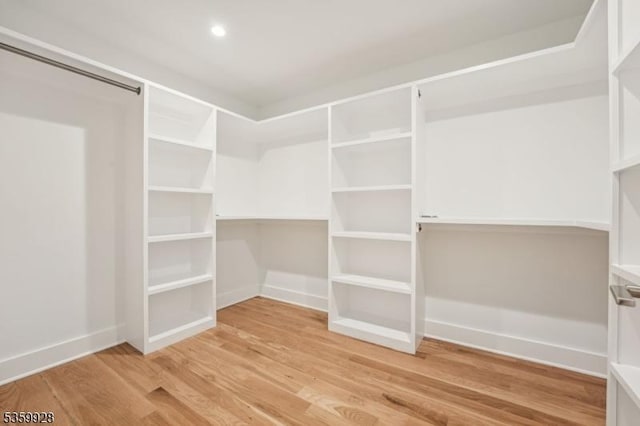 151 Center Ave, Chatham Boro, NJ 07928 - walk in closet with light wood-style flooring